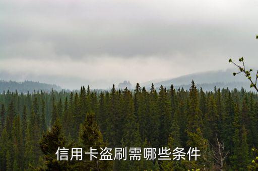 信用卡盜刷需哪些條件