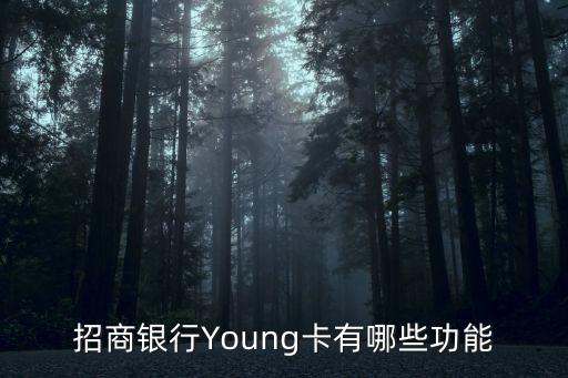 招商銀行Young卡有哪些功能