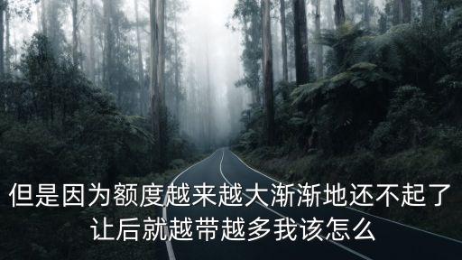 但是因為額度越來越大漸漸地還不起了 讓后就越帶越多我該怎么