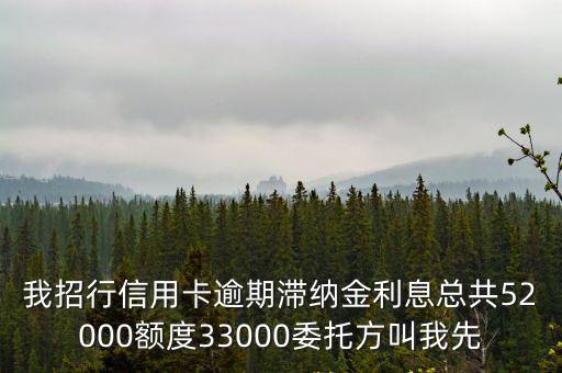 招行逾期利息高怎么辦，我招行信用卡逾期滯納金利息總共52000額度33000委托方叫我先