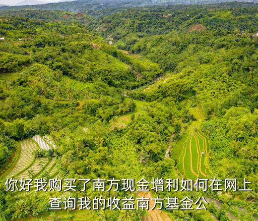 現(xiàn)金增利1號(hào)怎么看收益率，廣發(fā)證券帳戶里的錢(qián)買(mǎi)現(xiàn)金增利產(chǎn)品收益率是多少是每天結(jié)算嗎