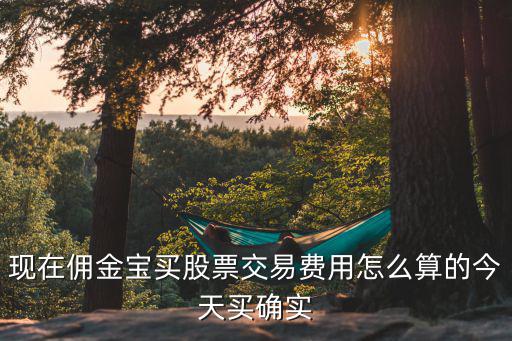 傭金寶 傭金怎么收取費(fèi)用，傭金寶手續(xù)費(fèi)怎么算