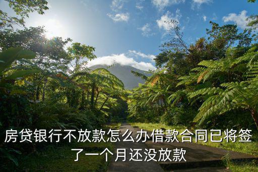 房貸銀行不放款怎么辦借款合同已將簽了一個月還沒放款