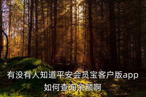 有沒有人知道平安會員寶客戶版app如何查詢余額啊