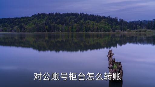 對公賬號柜臺怎么轉(zhuǎn)賬