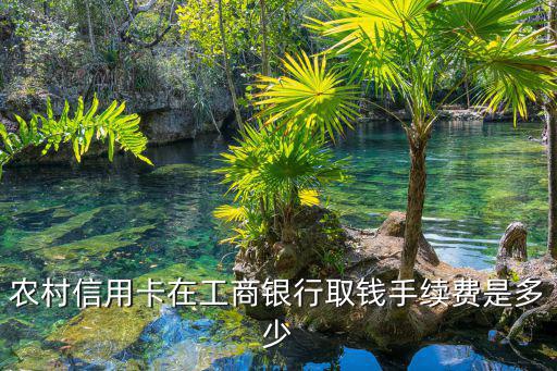 工行卡農(nóng)商取現(xiàn)手續(xù)費(fèi)怎么算，農(nóng)村信用卡在工商銀行取錢手續(xù)費(fèi)是多少