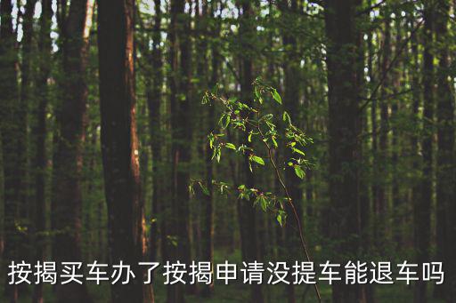 按揭買(mǎi)車(chē)辦了按揭申請(qǐng)沒(méi)提車(chē)能退車(chē)嗎
