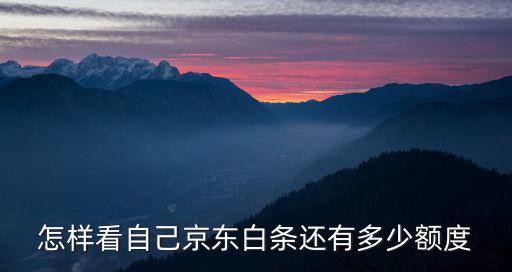 怎么查京東分期用額度嗎，怎樣看自己京東白條還有多少額度