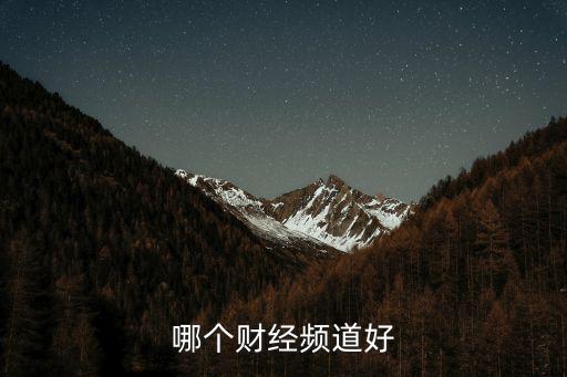 哪個(gè)財(cái)經(jīng)頻道好