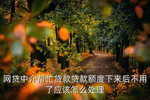 網(wǎng)貸那個額度怎么辦，但是因為額度越來越大漸漸地還不起了 讓后就越帶越多我該怎么