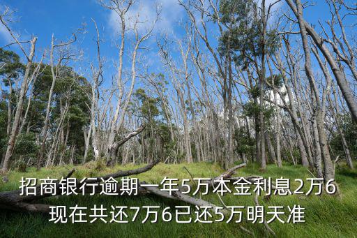 招商銀行逾期一年5萬(wàn)本金利息2萬(wàn)6現(xiàn)在共還7萬(wàn)6已還5萬(wàn)明天準(zhǔn)