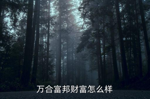 萬合富邦財富怎么樣
