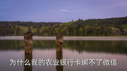 微信農(nóng)業(yè)銀行綁定不了怎么辦理，農(nóng)行卡微信綁定不了怎么回事