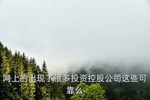 網(wǎng)上的出現(xiàn)了很多投資控股公司這些可靠么