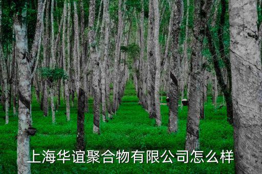 上海華誼聚合物有限公司怎么樣