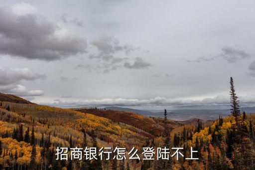中國招商銀行信用卡中心官網(wǎng)登陸不了怎么辦，招商銀行怎么登陸不上