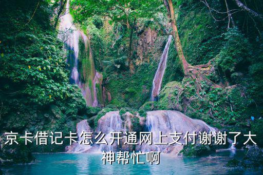 京卡借記卡怎么開通網(wǎng)上支付謝謝了大神幫忙啊