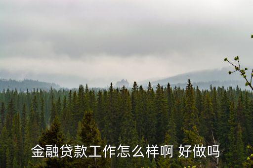 金融貸款工作怎么樣啊 好做嗎