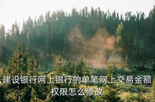 建行每日單筆限額怎么修改，建設(shè)銀行網(wǎng)上銀行的單筆網(wǎng)上交易金額權(quán)限怎么修改