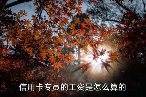 金融信用卡提成怎么算法，信用卡推廣員的抽成是怎么算的啊