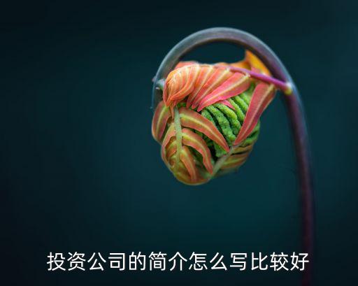 怎么介紹投資公司，投資公司簡(jiǎn)介怎么寫