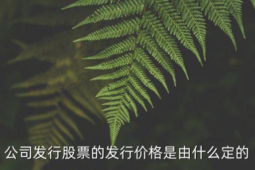 發(fā)行價(jià)怎么確定，債券的發(fā)行價(jià)格如何確定