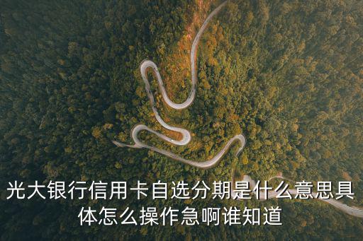 光大銀行信用卡自選分期是什么意思具體怎么操作急啊誰知道