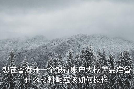 想在香港開一個(gè)銀行賬戶大概需要準(zhǔn)備什么材料呢應(yīng)該如何操作