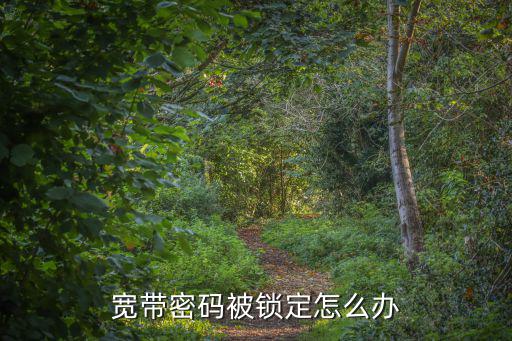 密碼以鎖定怎么辦，登錄密碼被鎖定怎么辦