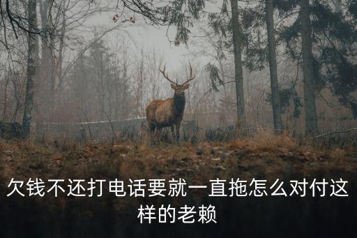 電話催收怎么應對老賴，欠錢不還打電話要就一直拖怎么對付這樣的老賴