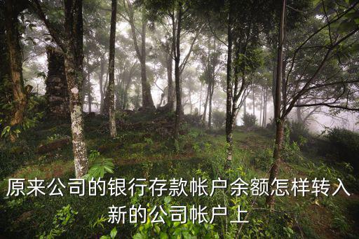 銀行賬戶余額怎么錄入，實(shí)名驗(yàn)證銀行匯款金額在哪輸入