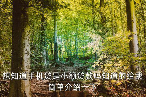 想知道手機(jī)貸是小額貸款嗎知道的給我簡單介紹一下