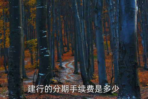 建行的分期手續(xù)費是多少