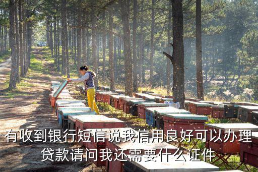 有收到銀行短信說我信用良好可以辦理貸款請問我還需要什么證件