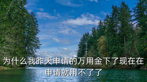 為什么我昨天申請的萬用金下了現在在申請就用不了了