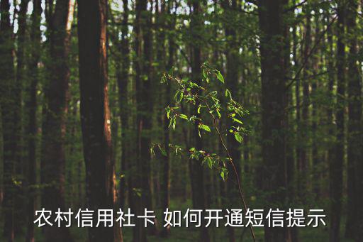 農(nóng)村信用社卡 如何開通短信提示