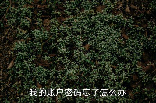 我的賬戶密碼忘了怎么辦