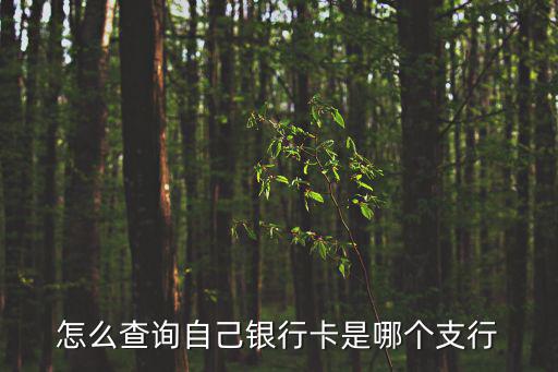 怎么查詢自己銀行卡是哪個支行
