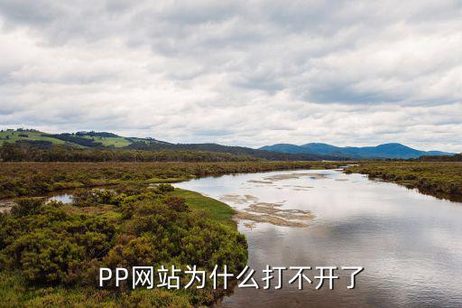 pp基金怎么打不開了，PP網(wǎng)站為什么打不開了