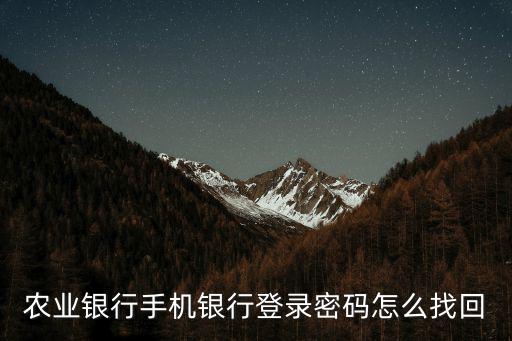 個人農(nóng)業(yè)銀行網(wǎng)上銀行登錄密碼忘了怎么辦，農(nóng)業(yè)掌上銀行忘記登陸密碼怎么辦