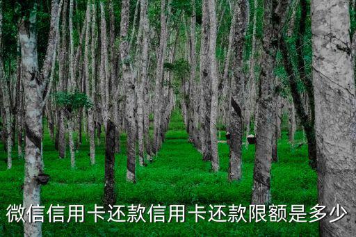 微信怎么還廣發(fā)信用卡額度多少錢，微信還信用卡手續(xù)費(fèi)是多少 微信怎么免費(fèi)還信用卡
