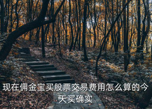 現(xiàn)在傭金寶買股票交易費用怎么算的今天買確實