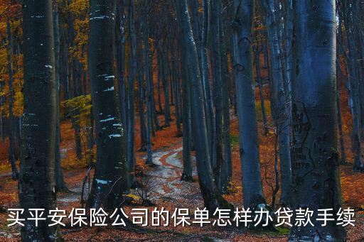 買平安保險(xiǎn)公司的保單怎樣辦貸款手續(xù)