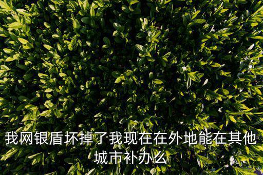 我網(wǎng)銀盾壞掉了我現(xiàn)在在外地能在其他城市補(bǔ)辦么