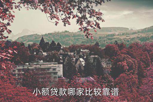 小額貸款哪家比較靠譜