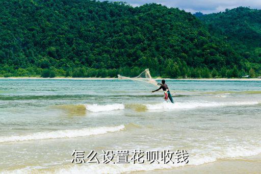 怎么設(shè)置花唄收錢