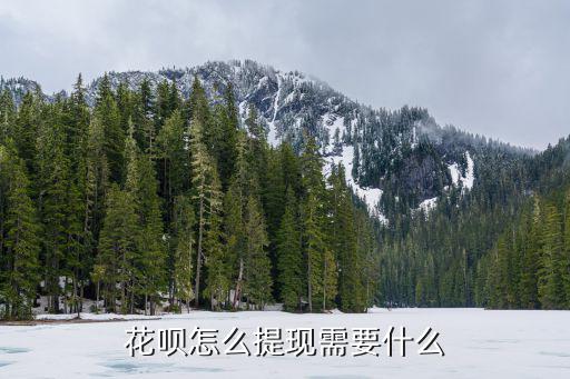 花唄的怎么提現(xiàn)方法有哪些，花唄怎么提現(xiàn)花唄呢