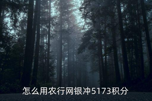 怎么用農行網銀沖5173積分