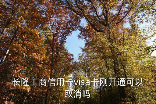 長(zhǎng)隆工商信用卡visa卡剛開(kāi)通可以取消嗎