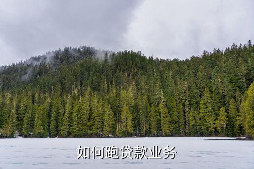 貸款業(yè)務(wù)怎么開展，小額信貸公司怎么樣開展業(yè)務(wù)